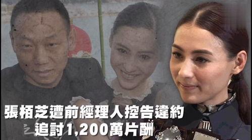 娱乐性吃瓜,揭秘明星们的“吃瓜”大作战  第1张 娱乐性吃瓜,揭秘明星们的“吃瓜”大作战  第1张