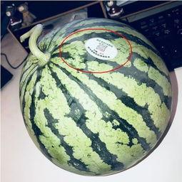 网红吃瓜id,揭秘娱乐圈幕后真相,带你领略明星们的真实生活  第2张 网红吃瓜id,揭秘娱乐圈幕后真相,带你领略明星们的真实生活  第2张