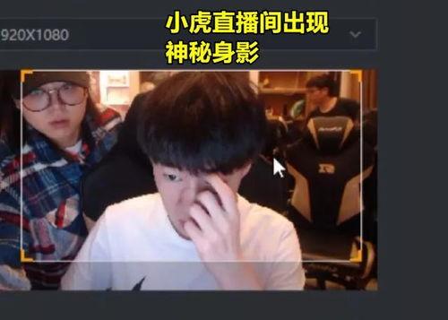 朋哥爆料视频完整版下载,揭秘幕后真相,带你走进事件全貌