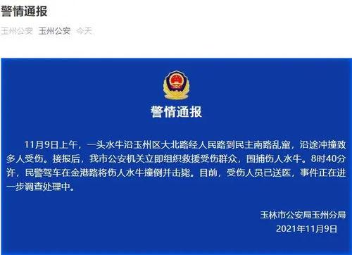 广西最新爆料视频新闻,揭秘神秘事件背后的真相  第1张 广西最新爆料视频新闻,揭秘神秘事件背后的真相  第1张