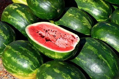 国产精品吃瓜视频免费,免费畅享欢乐时光  第3张 国产精品吃瓜视频免费,免费畅享欢乐时光  第3张