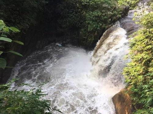 网友爆料山洪视频播放网站,惊险山洪视频曝光,网络平台引发热议
