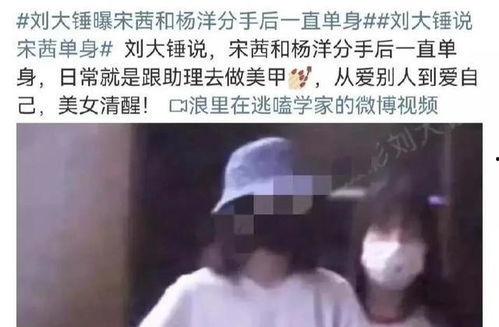 刘大锤爆料宋茜欧豪视频,恋情疑曝光?