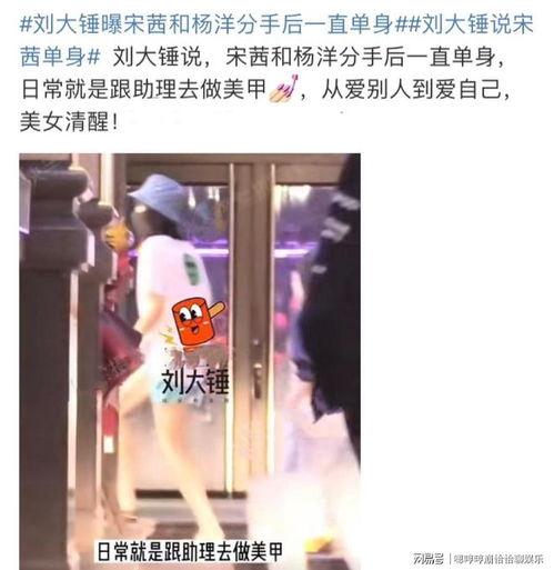 刘大锤爆料宋茜欧豪视频,恋情疑曝光?  第2张 刘大锤爆料宋茜欧豪视频,恋情疑曝光?  第2张