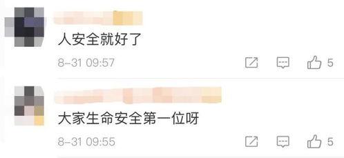 乐山最新爆料新闻视频,揭秘神秘事件背后的真相  第3张 乐山最新爆料新闻视频,揭秘神秘事件背后的真相  第3张