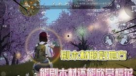 黎明觉醒最新典藏爆料,典藏爆料揭秘,全新篇章即将开启!  第2张 黎明觉醒最新典藏爆料,典藏爆料揭秘,全新篇章即将开启!  第2张