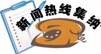 新京报新闻爆料热线,聚焦社会热点,倾听民意心声