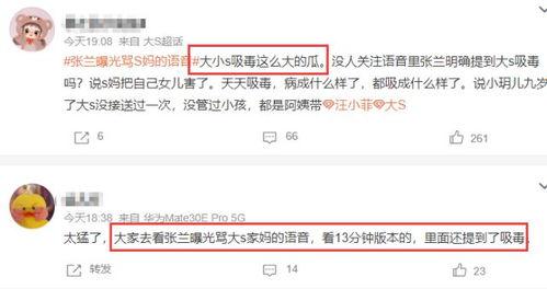 张兰爆料语音视频大全,揭秘真实事件背后的惊人内幕  第3张 张兰爆料语音视频大全,揭秘真实事件背后的惊人内幕  第3张