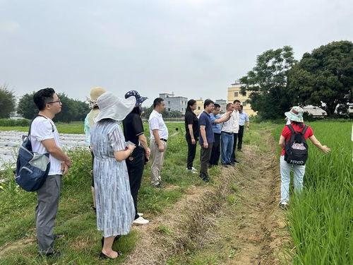 封开南丰镇新闻爆料,聚焦民生热点,共话发展新篇  第3张 封开南丰镇新闻爆料,聚焦民生热点,共话发展新篇  第3张