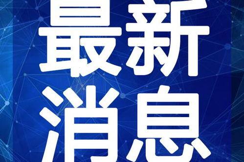 爆料王菲打牌视频大全最新,揭秘天后打牌视频大全幕后故事  第3张 爆料王菲打牌视频大全最新,揭秘天后打牌视频大全幕后故事  第3张