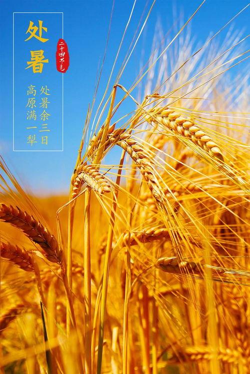 秋天的新闻爆料,新闻爆料聚焦秋季热点事件  第3张 秋天的新闻爆料,新闻爆料聚焦秋季热点事件  第3张