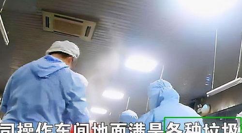 天津学生配餐爆料视频,揭露校园食品安全疑云  第3张 天津学生配餐爆料视频,揭露校园食品安全疑云  第3张